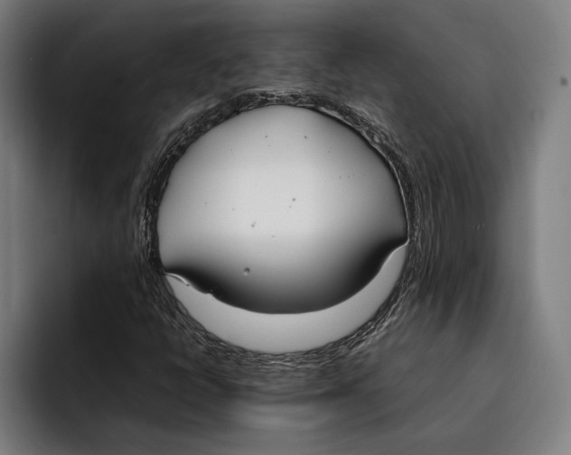 X0000092241398200710121228