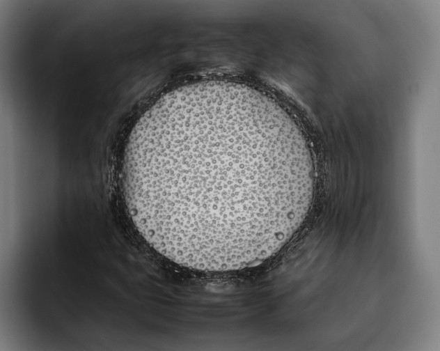 X0000092241399200710121228