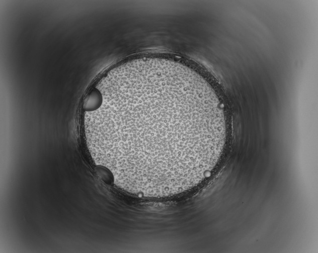 X0000092241405200710121228