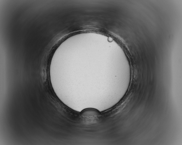 X0000092241407200710121228