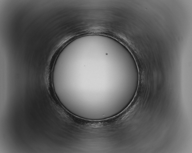 X0000092241410200710121228