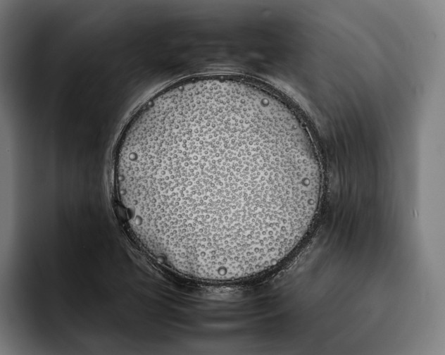 X0000092241413200710121228