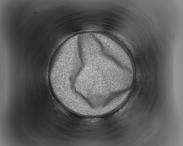 X0000092241417200710121228