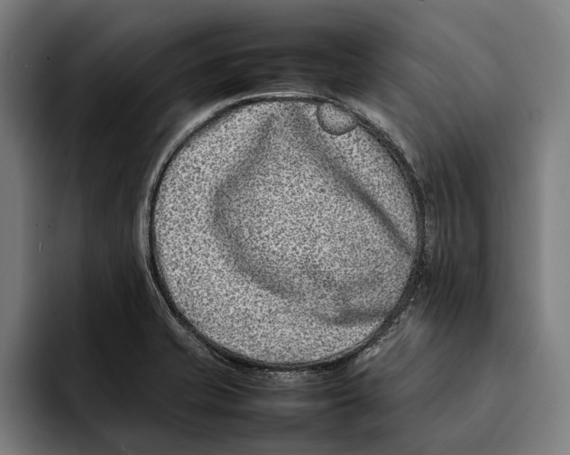 X0000092241421200710121228