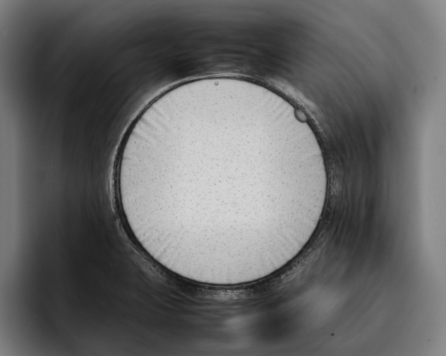 X0000092241423200710121228