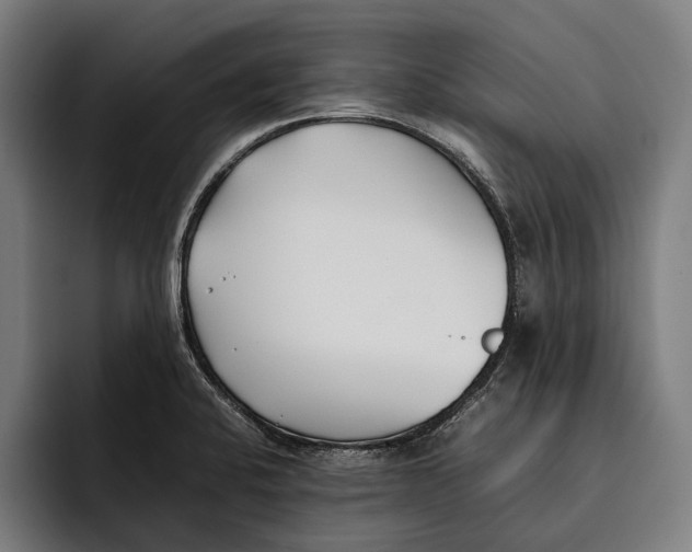 X0000092241424200710121228