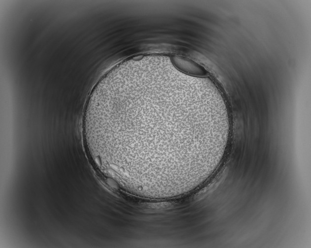 X0000092241425200710121228