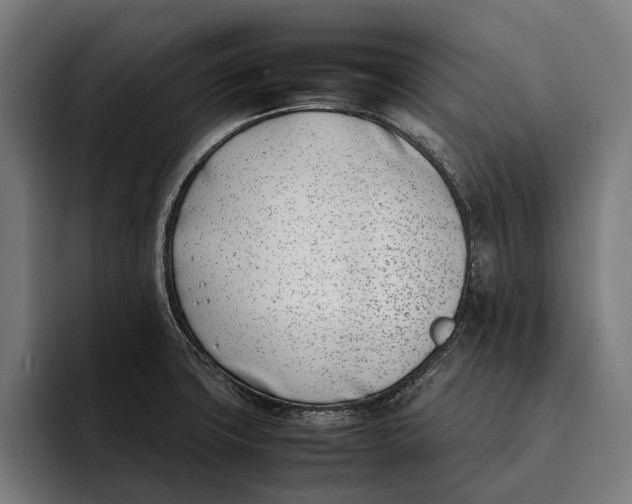 X0000092241427200710121228