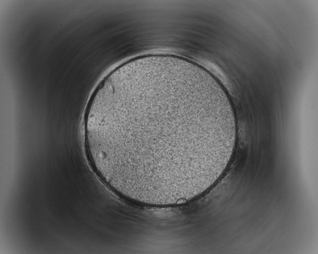 X0000092241428200710121228