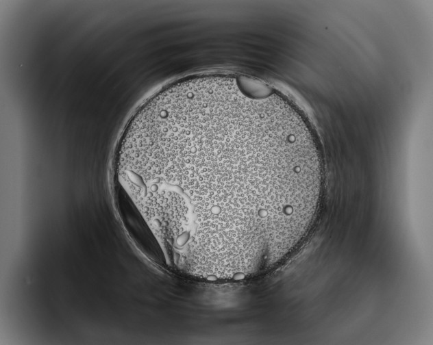 X0000092241429200710121228