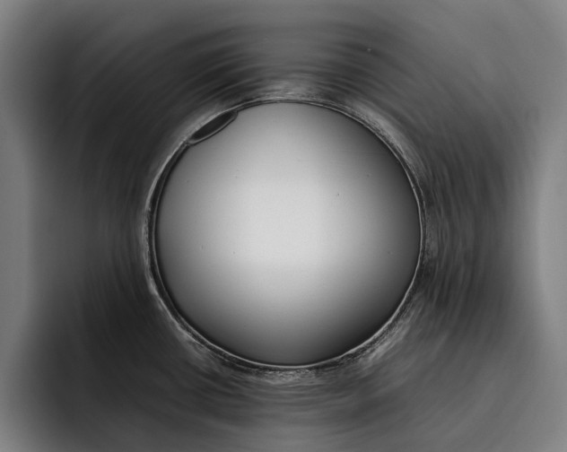 X0000092241434200710121229