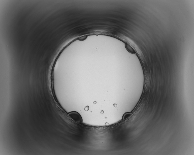 X0000092241435200710121229