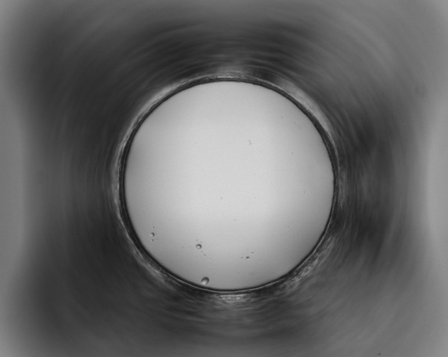 X0000092241437200710121229