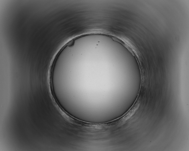 X0000092241438200710121229