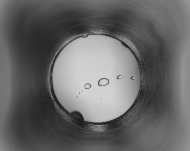 X0000092241439200710121229