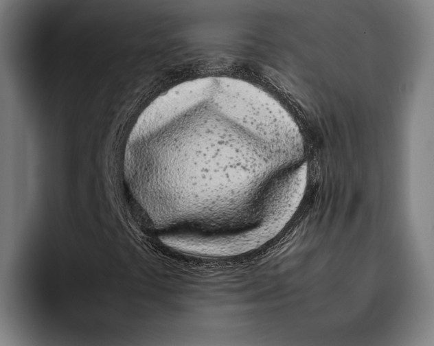 X0000092241441200710121228