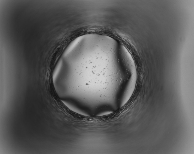 X0000092241445200710121228