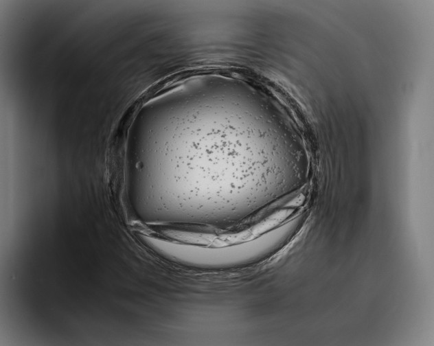 X0000092241449200710121228