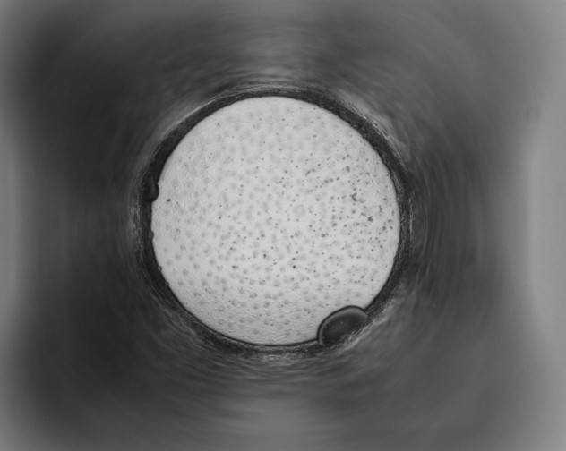 X0000092241453200710121228