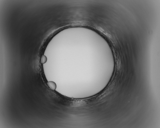 X0000092241454200710121228