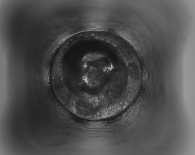 X0000092241455200710121228