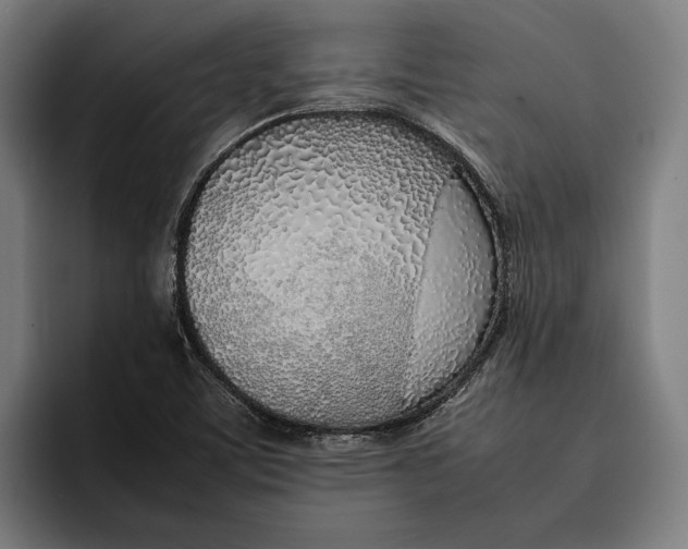 X0000092241459200710121228