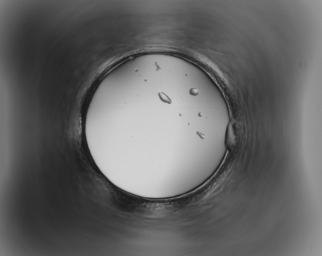 X0000092241461200710121228