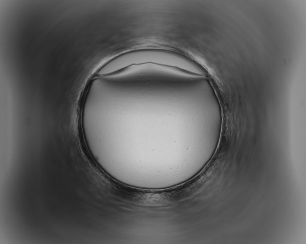 X0000092241463200710121228