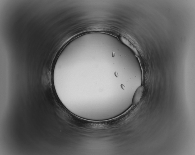 X0000092241465200710121228