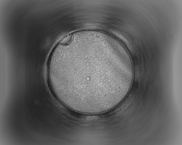X0000092241467200710121228