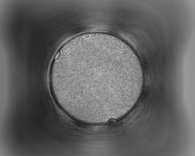 X0000092241471200710121228