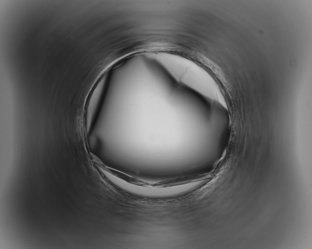 X0000092241473200710121228