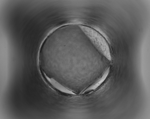 X0000092241477200710121228