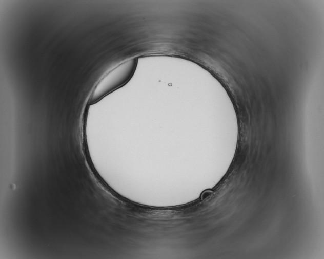 X0000092241479200710121228