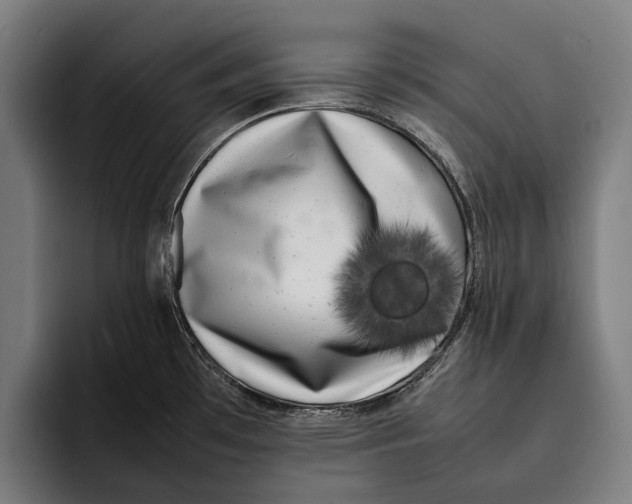 X0000092241481200710121228