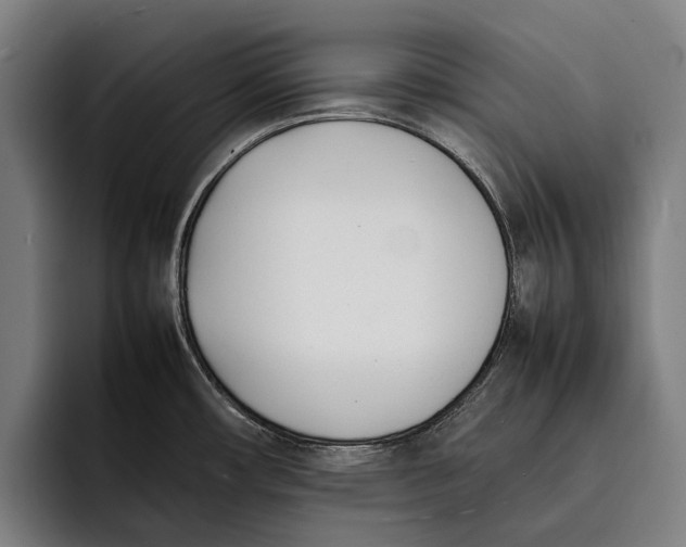 X0000092241482200710121228