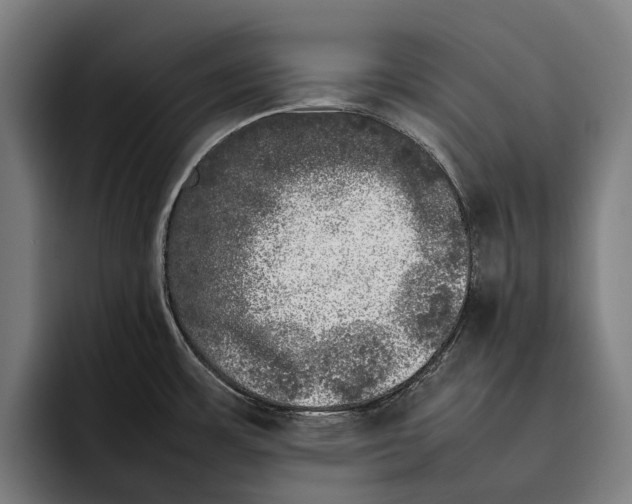 X0000092241483200710121228