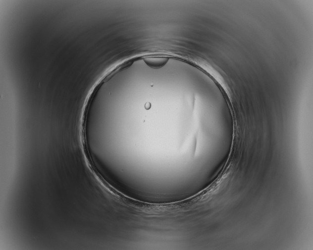 X0000092241485200710121227