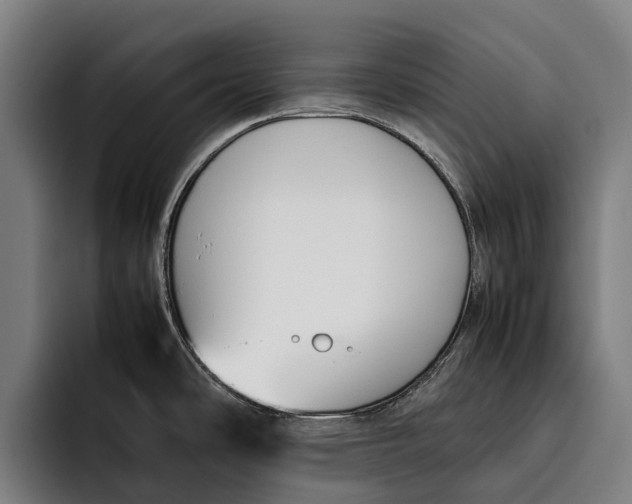 X0000092241486200710121227