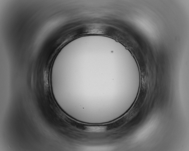 X0000092241487200710121227