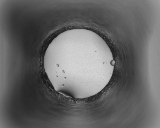 X0000092241494200710121227