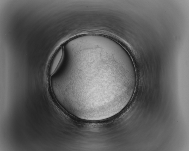 X0000092241506200710121227