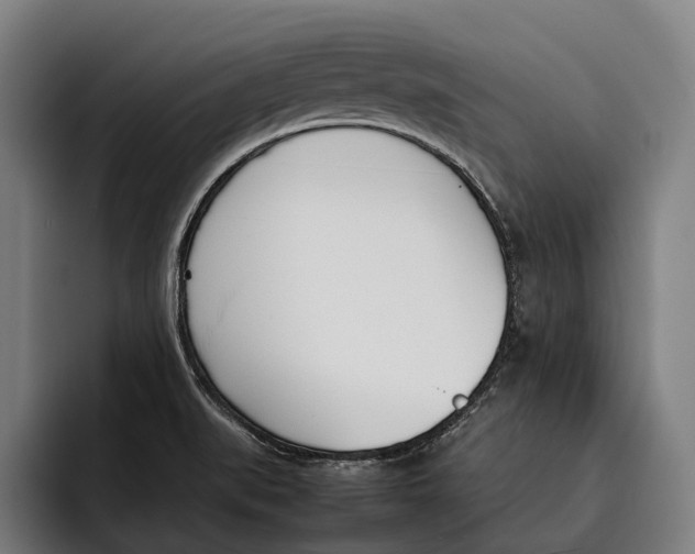 X0000092241519200710121227