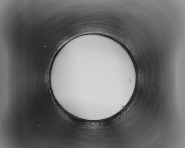 X0000092241521200710121227