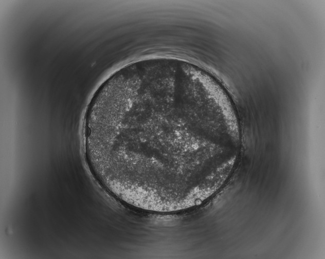 X0000092241522200710121227