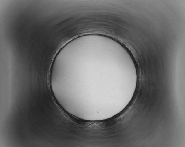 X0000092241529200710121227