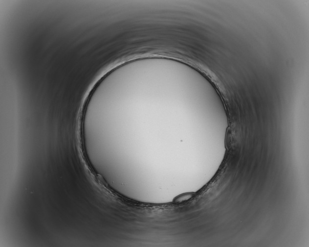 X0000092241530200710121227