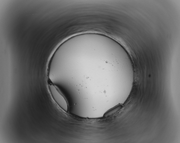 X0000092241532200710121227