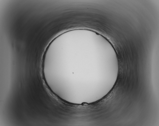 X0000092241534200710121227