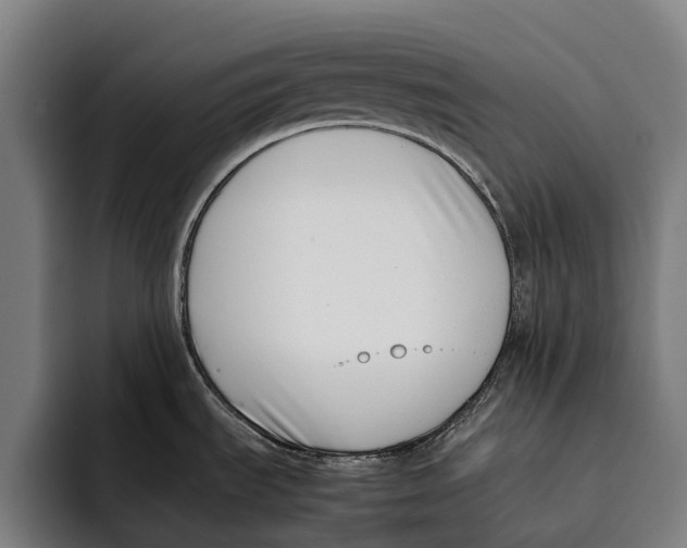 X0000092241535200710121227